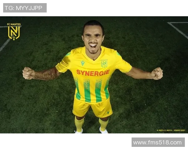 法甲第戎对南特比赛前瞻分析及胜负预测详解