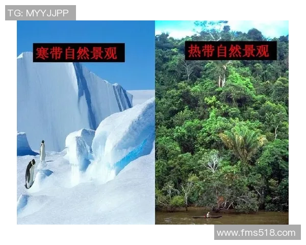 泰国与新加坡气温对比分析探讨热带气候的异同与影响